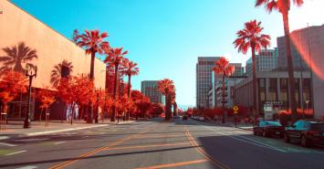 棕榈树的街道